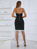 Black Sleeveless Sequin Tassel Bodycon Mini Dress